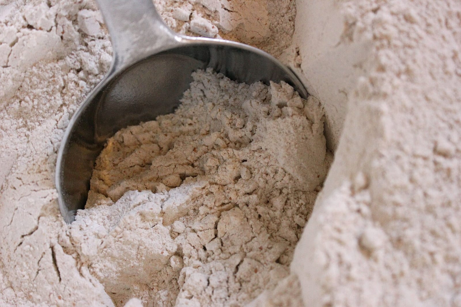 A steel scoop pushing into a bin of coarse, stone-milled whole wheat flour