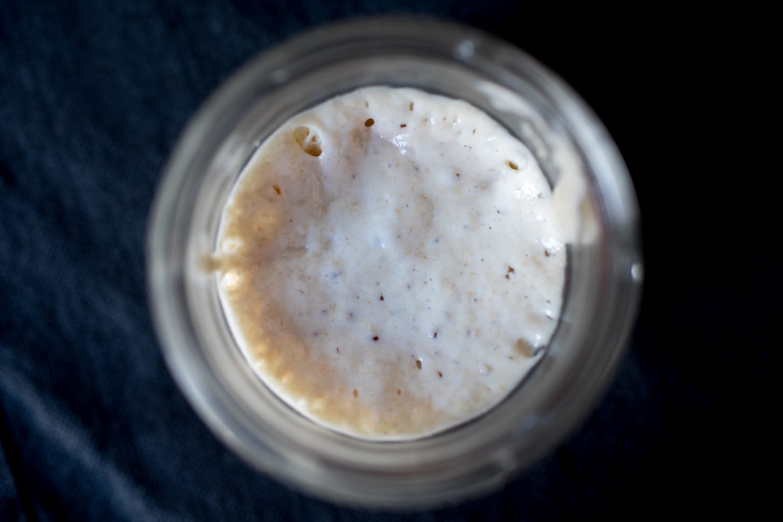 How we feed a 12-year-old sourdough starter